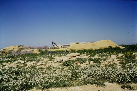 Rando Tunisie 1987, 0034_1987-03-99