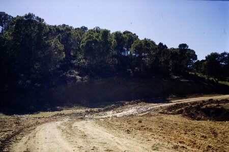 Rando Tunisie 1987, 0017_1987-03-99