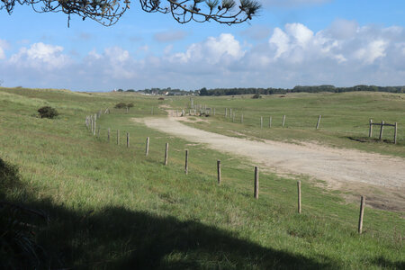 2023 09 14 De Montmartin-sur-Mer à Coudeville-sur-Mer, IMG_5584 Les dunes d’Annoville et Tourneville