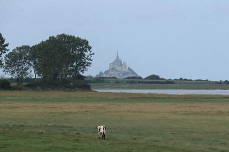 2023 09 19 De Saint-Quentin-sur-le-Homme au Mont-Saint-Michel, IMG_5902 Première vue sur le mont depuis le Grand-Port